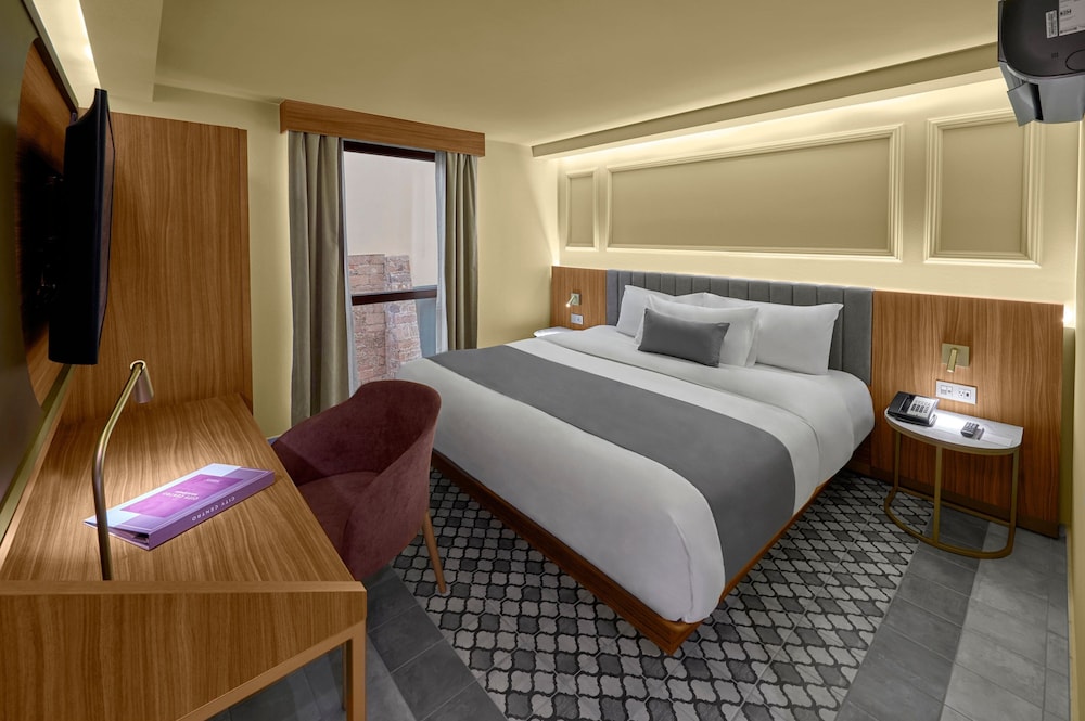 City Centro by Marriott San Luis Potosi 16/49