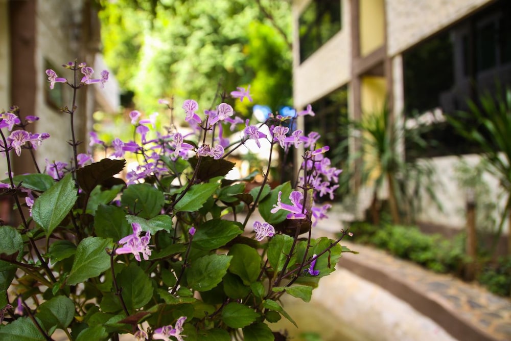 Rao Ga Khao Resort 40/50