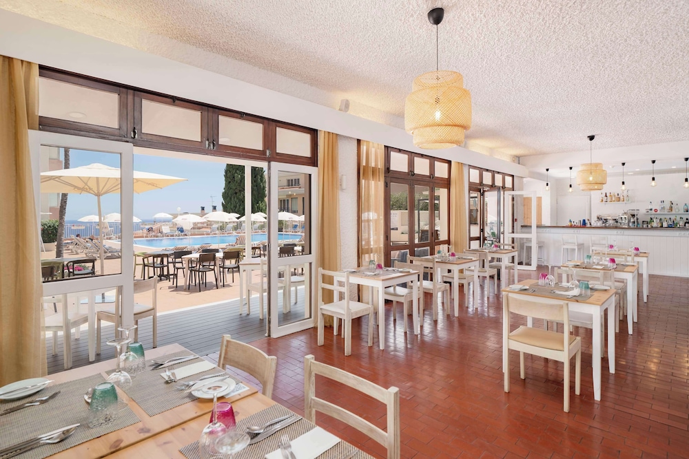 Mimosa Studio Hotel 62/73