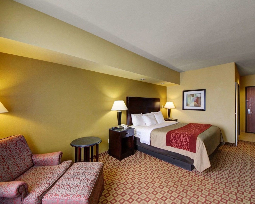 Comfort Inn & Suites Donna Near I-2 19/44