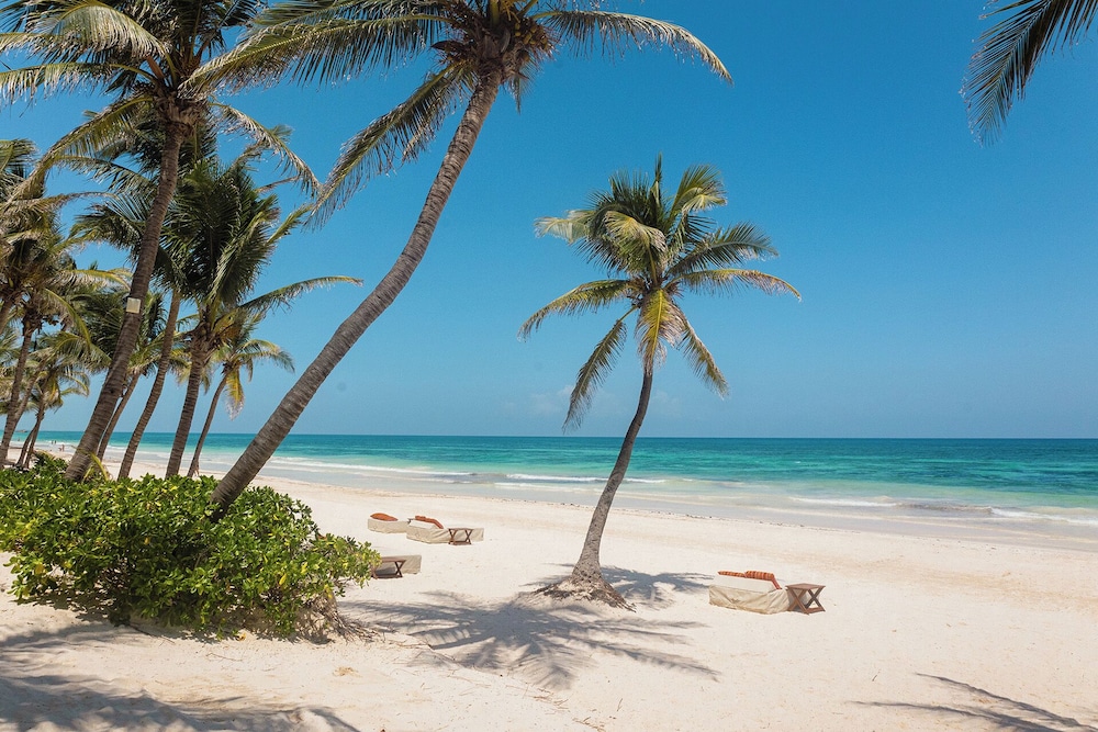 The Beach Tulum 42/47