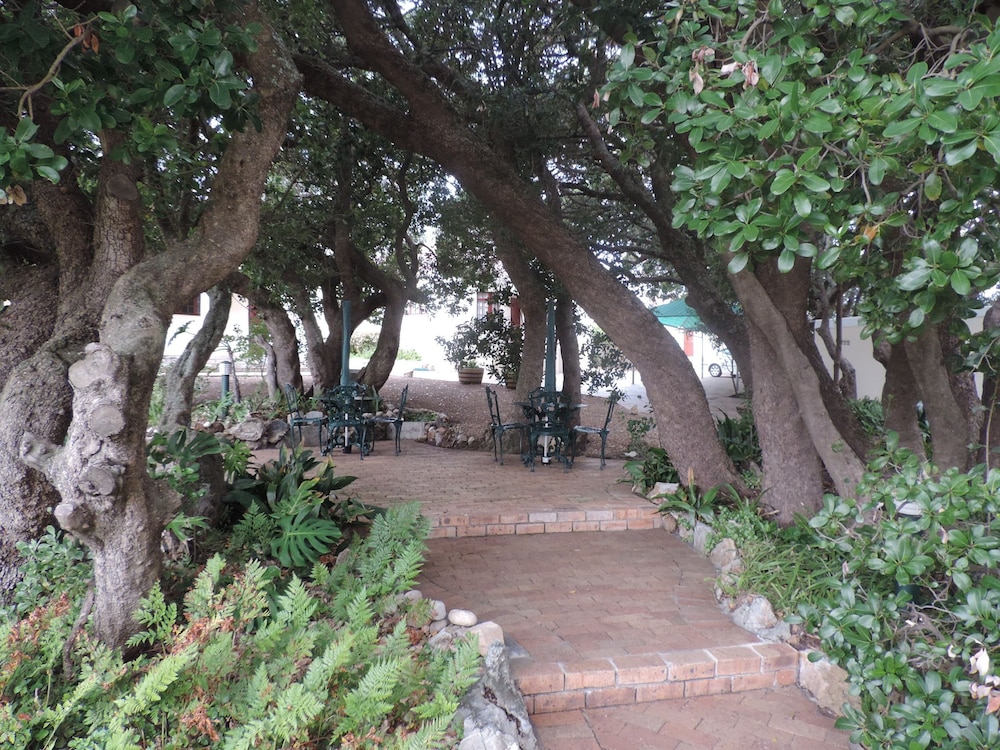 Milkwood Lodge Hermanus 20/35