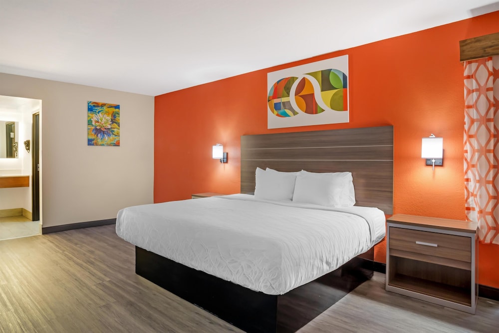 Suite, King Bed, Sofa
