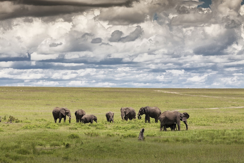 Kananga Special Tented Camp 39/50