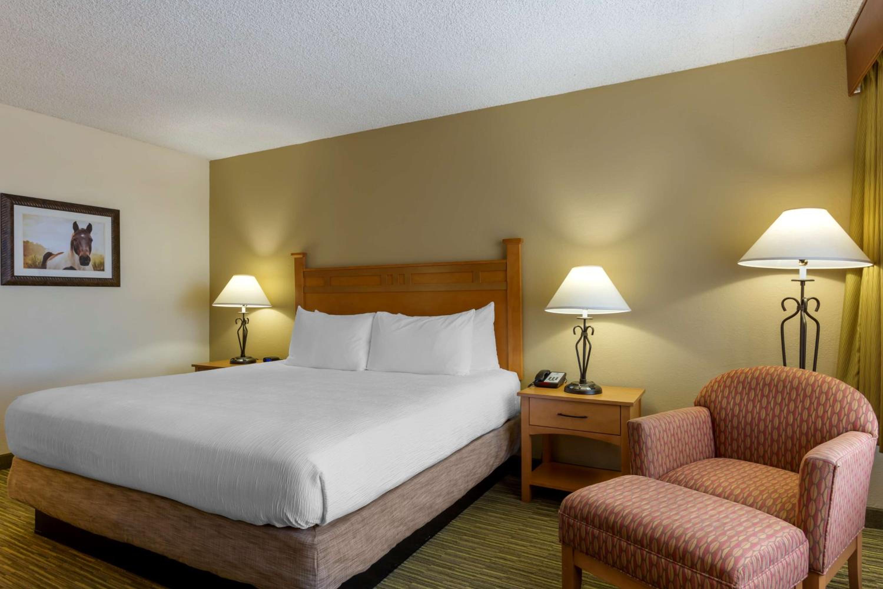 Room, King Bed, Bathtub, Accessible