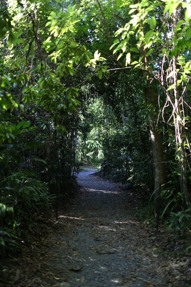 Heritage Lodge In the Daintree 40/53