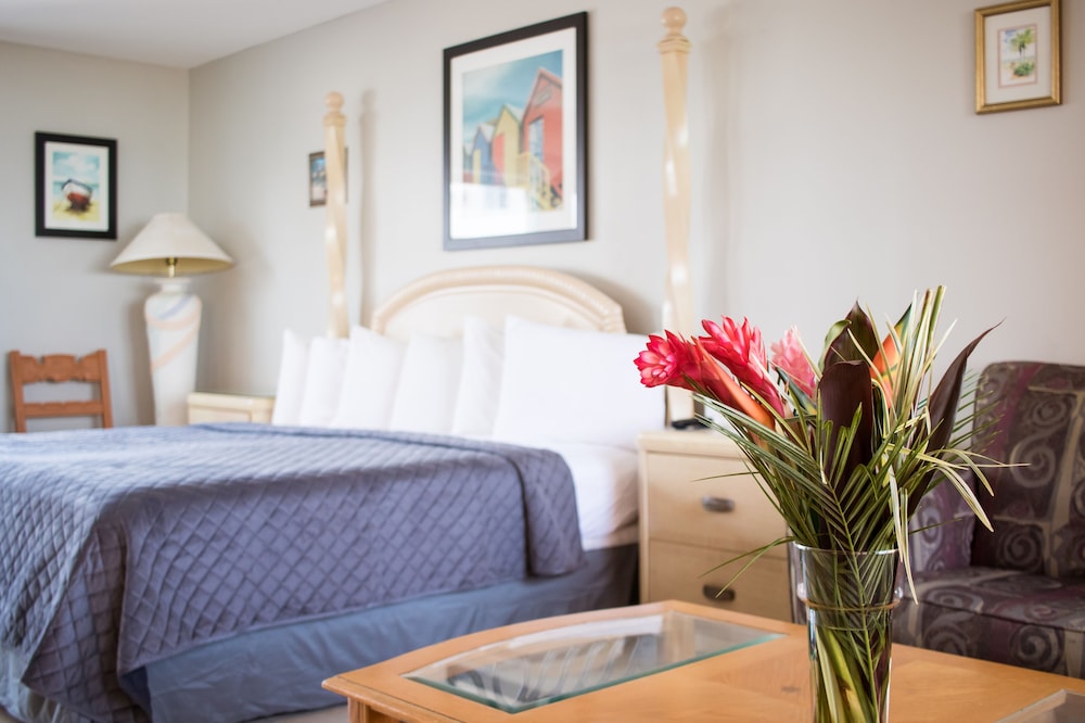 Riptide Oceanfront Hotel 20/72