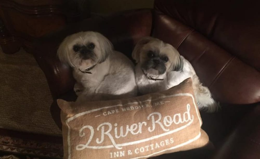 2 River Road Inn & Cottages 23/50