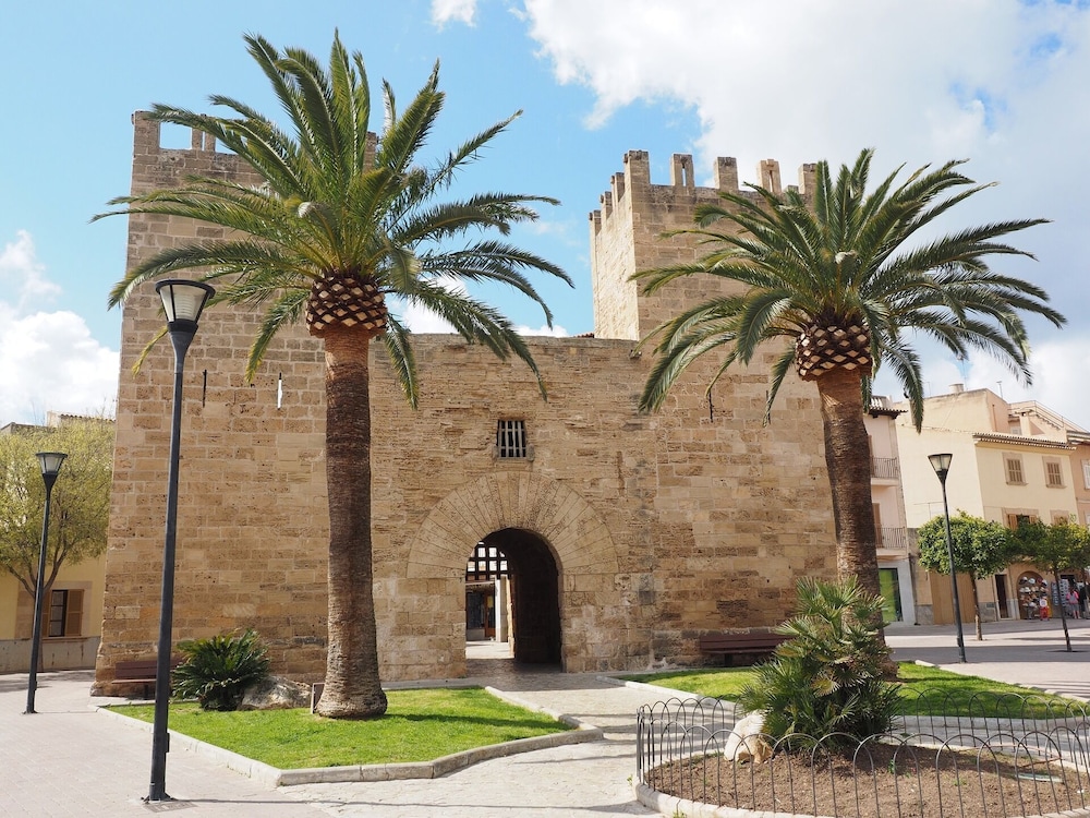 Alcudia Petit 41/50