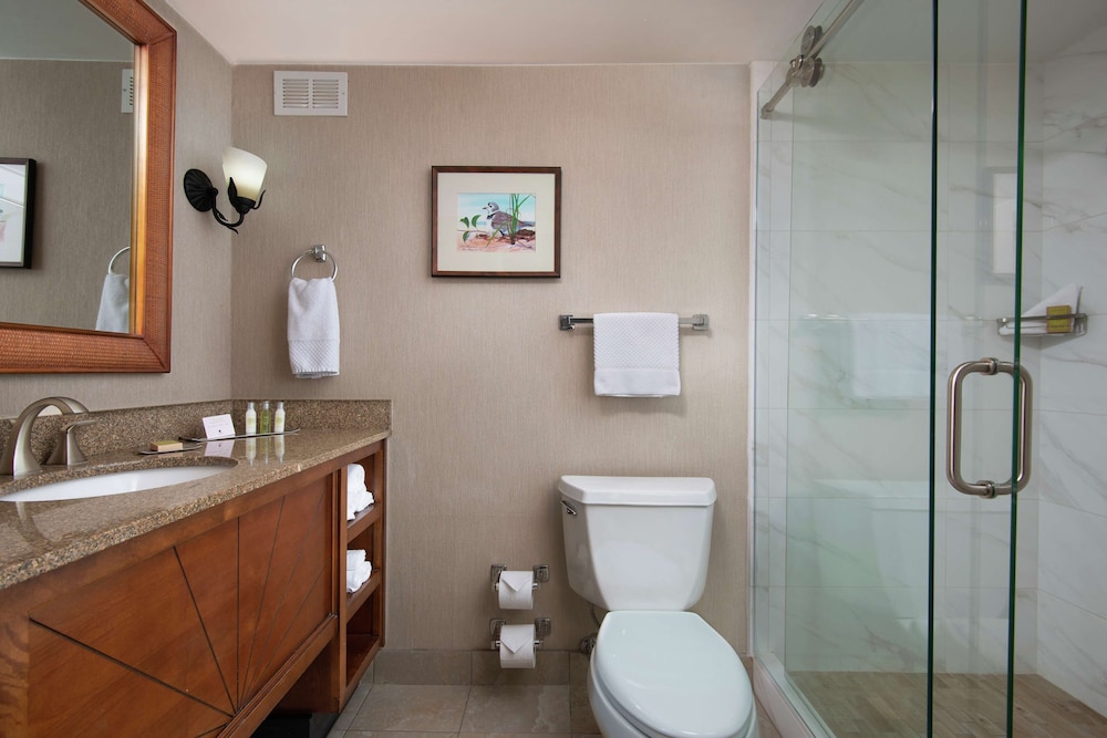 DoubleTree Beach Resort by Hilton Tampa Bay - North Redington Beach 14/59