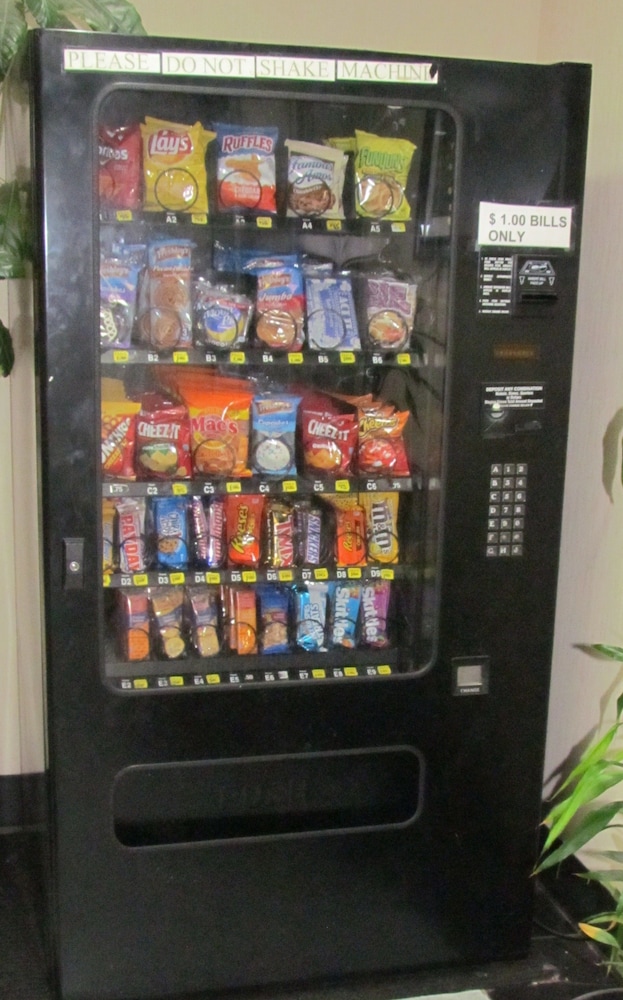 レッド カーペット イン 写真5
