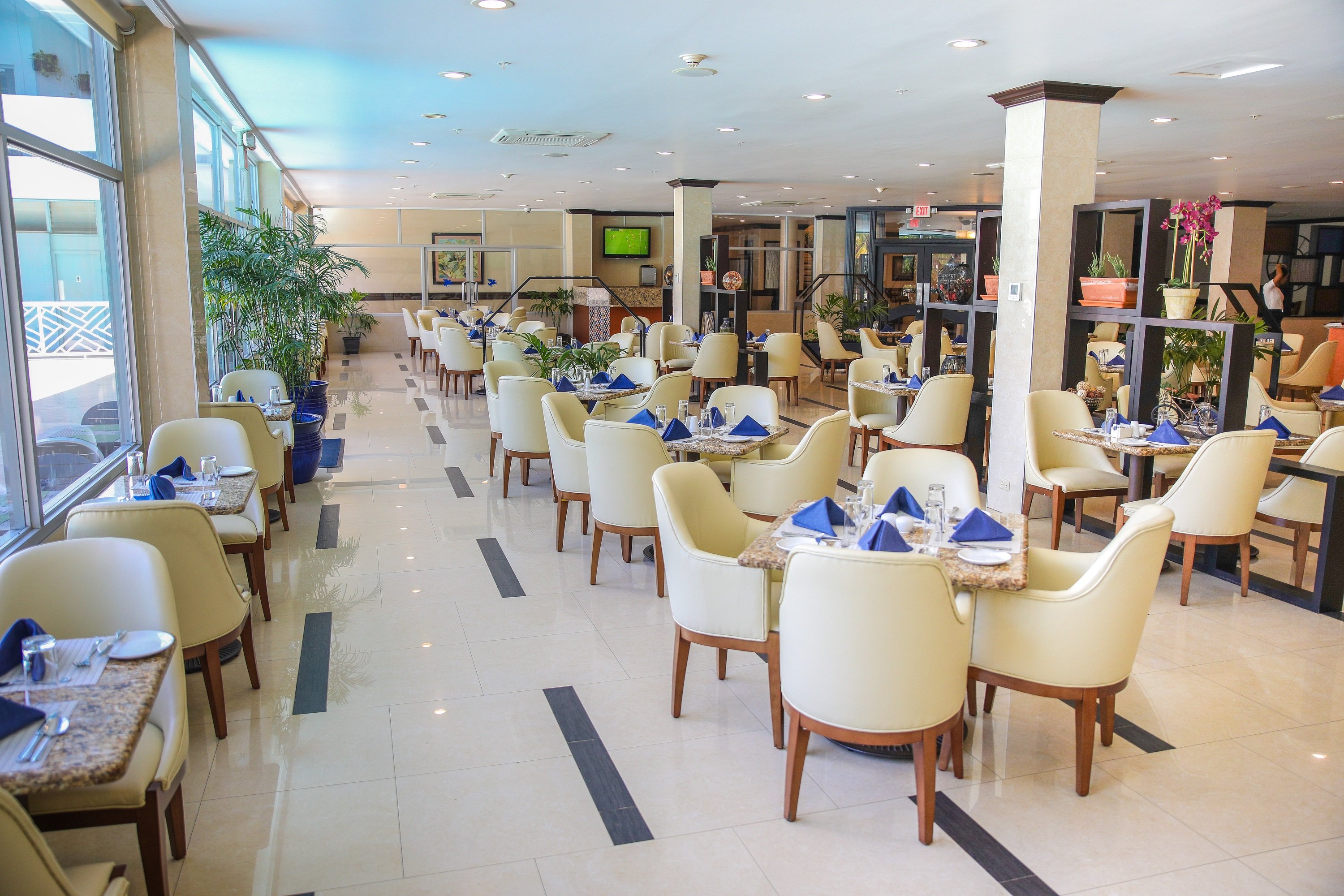 Jamaica Pegasus Hotel 81/100