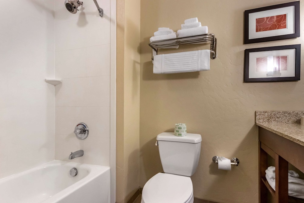 Comfort Suites Airport-University 30/33