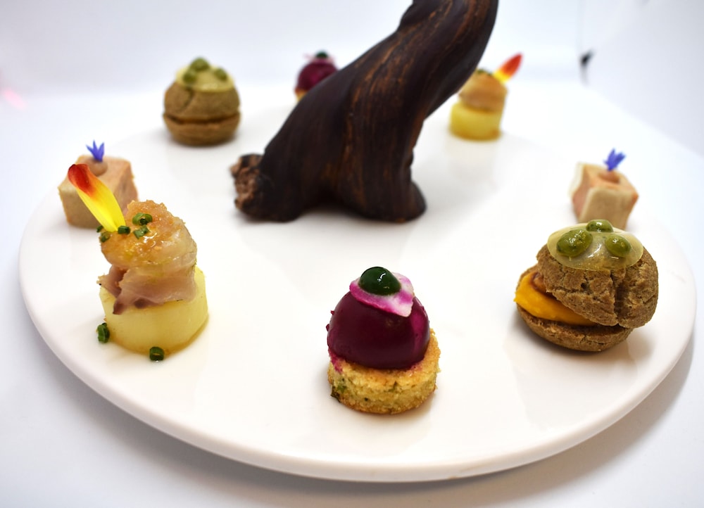 CHATEAU DES VIGIERS 15/50