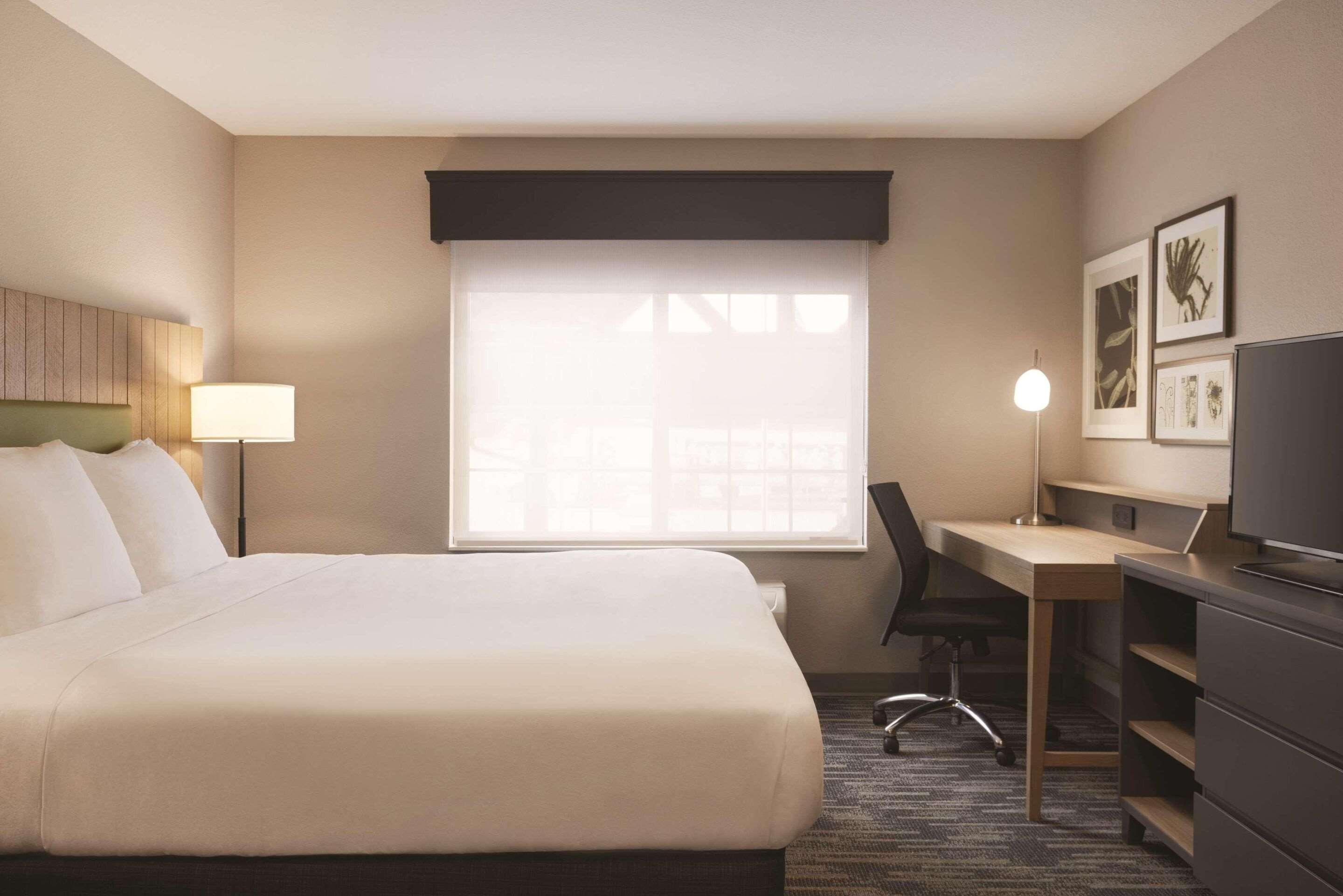 SUITE, KING BED