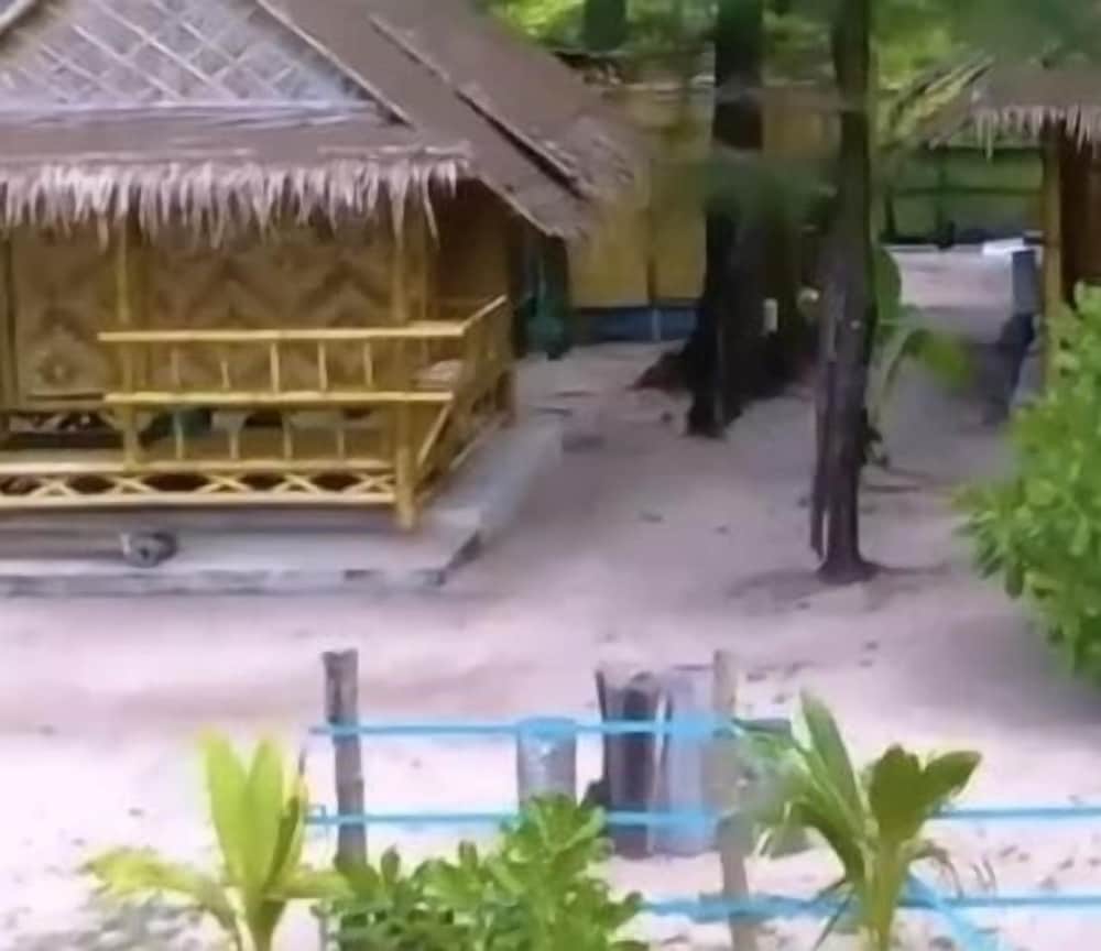 Micky Monkey Beach Hotel 49/50