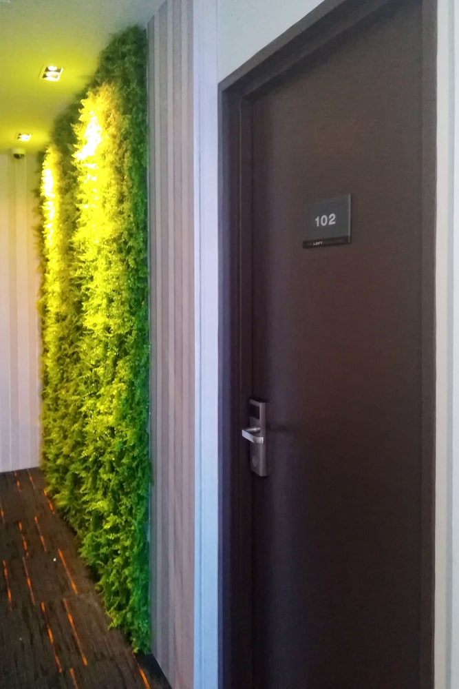 The Loft Plaza Hotel 5/25