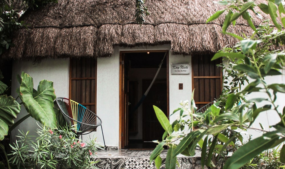 Hotel Boutique Cenote San Ignacio 1/50