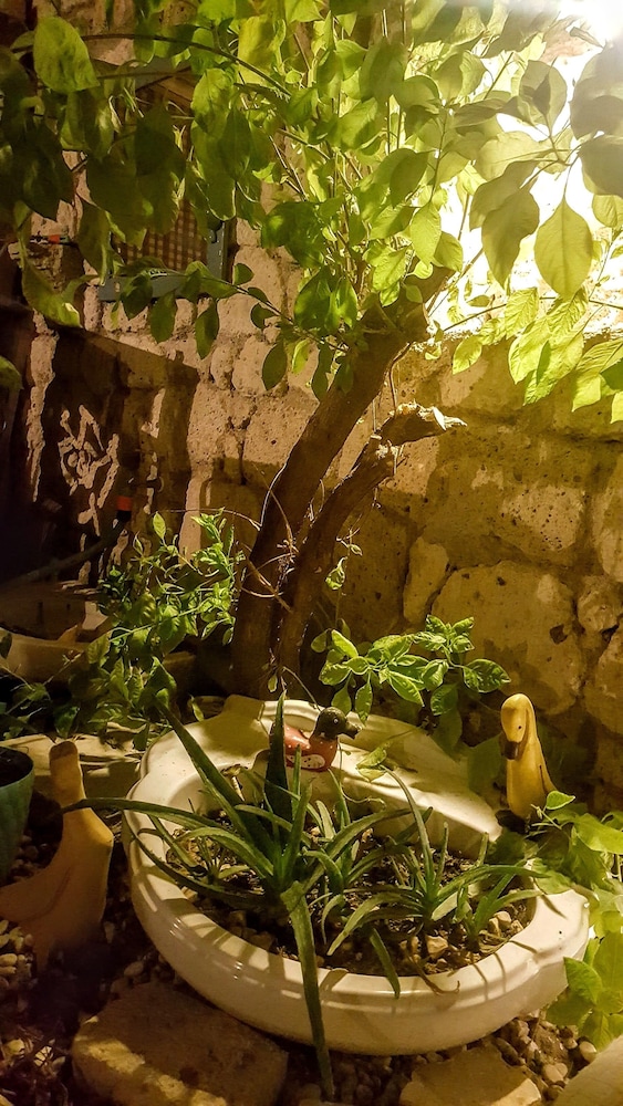 Lilyum Alacati Butik Otel 41/47