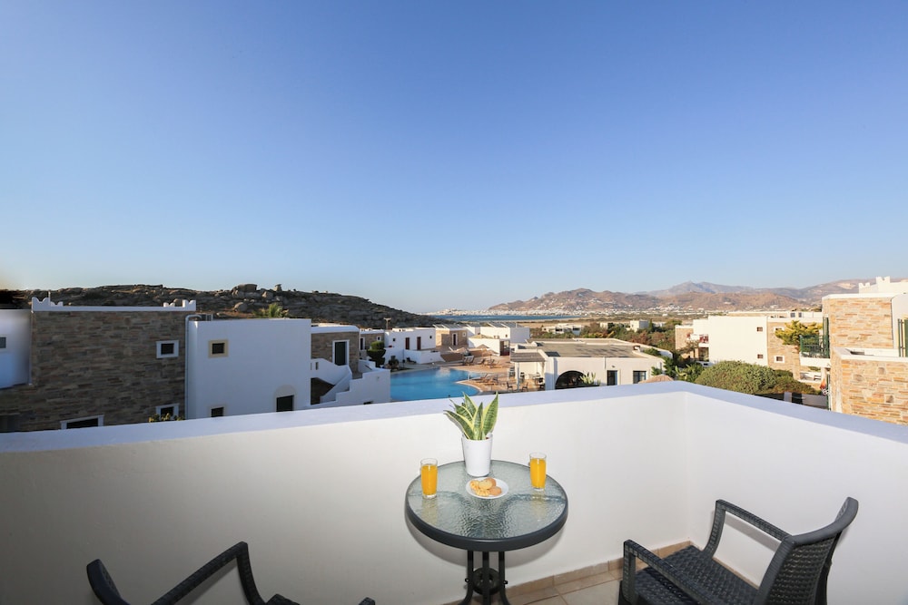 Naxos Palace 2/49