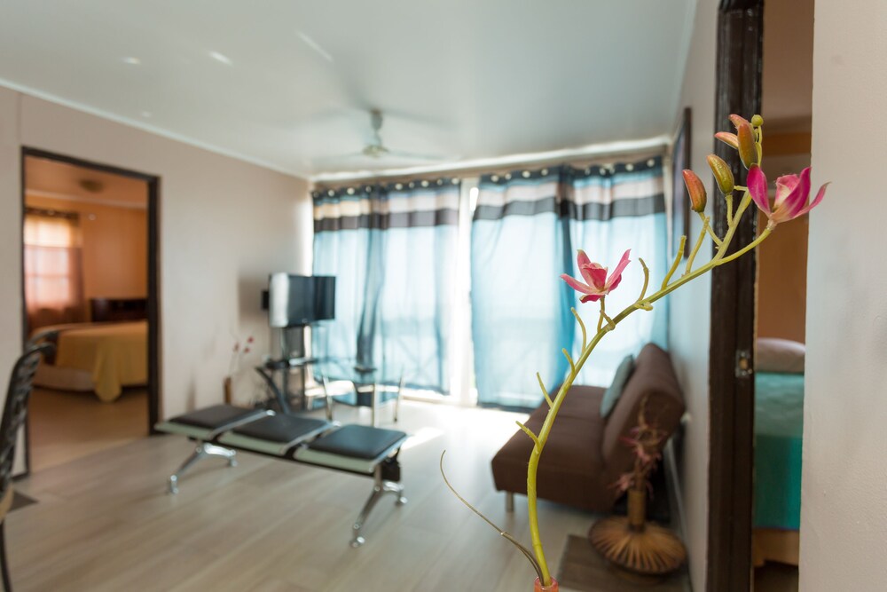 New Kingston Guest Apt At Dorchester 8/32