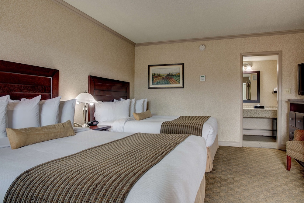 Best Western Plus City Centre Inn 17/52