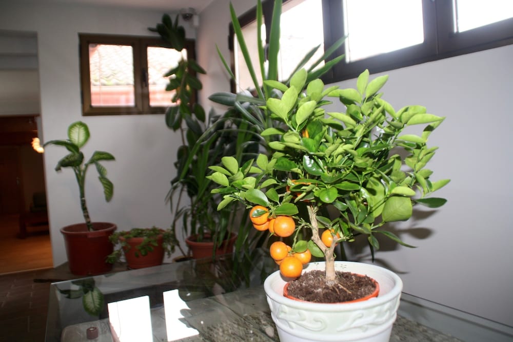 Venta Magullo Complejo Hostelero 42/55