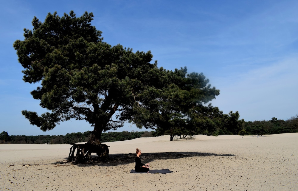 Doubletree By Hilton Royal Parc Soestduinen 34/58