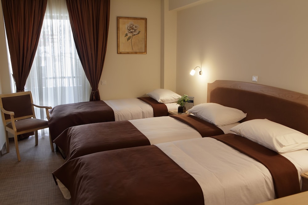 Parthenon Hotel Athens, Vassilicos House of Hospitality 9/31