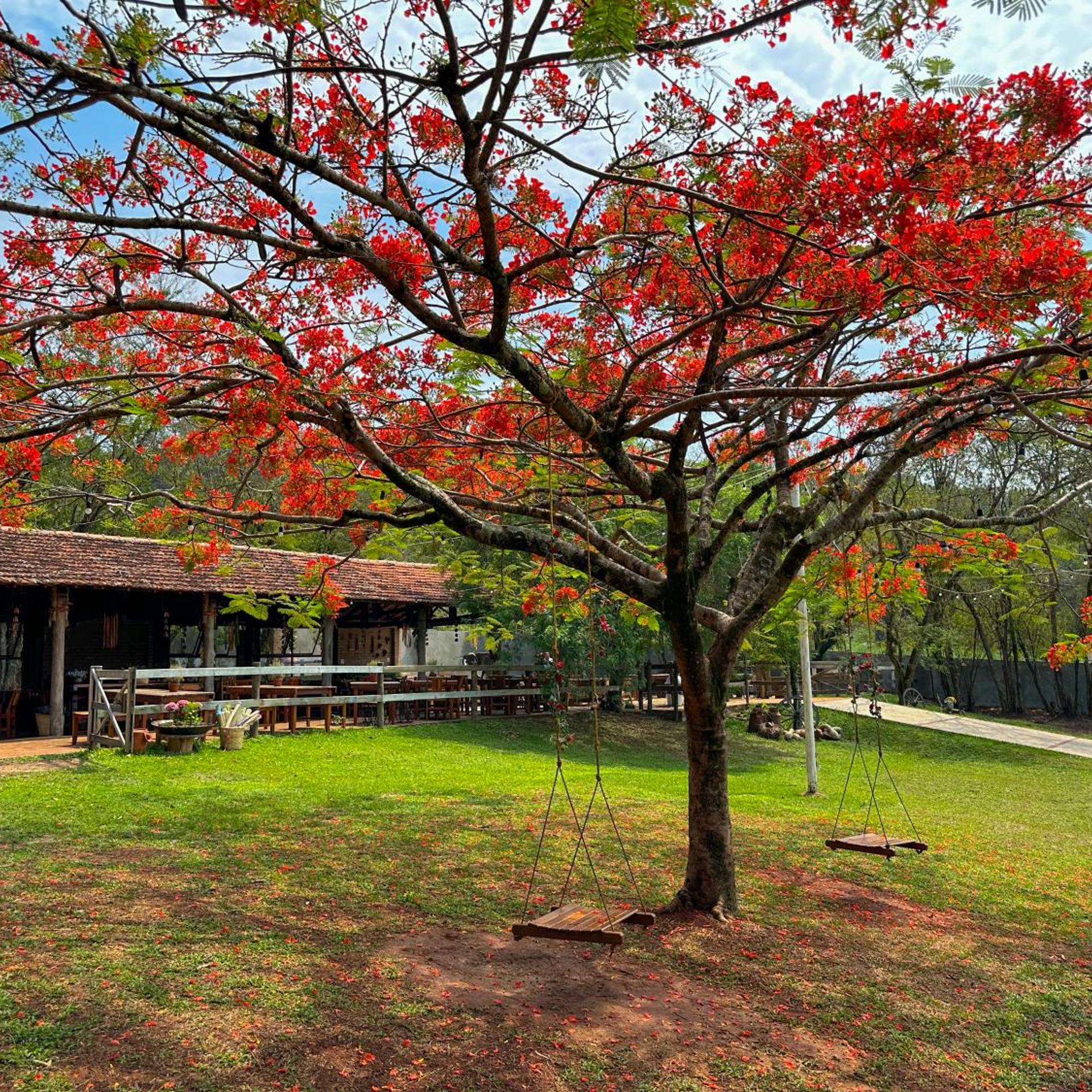 Hotel Fazenda Sao Joao 42/50