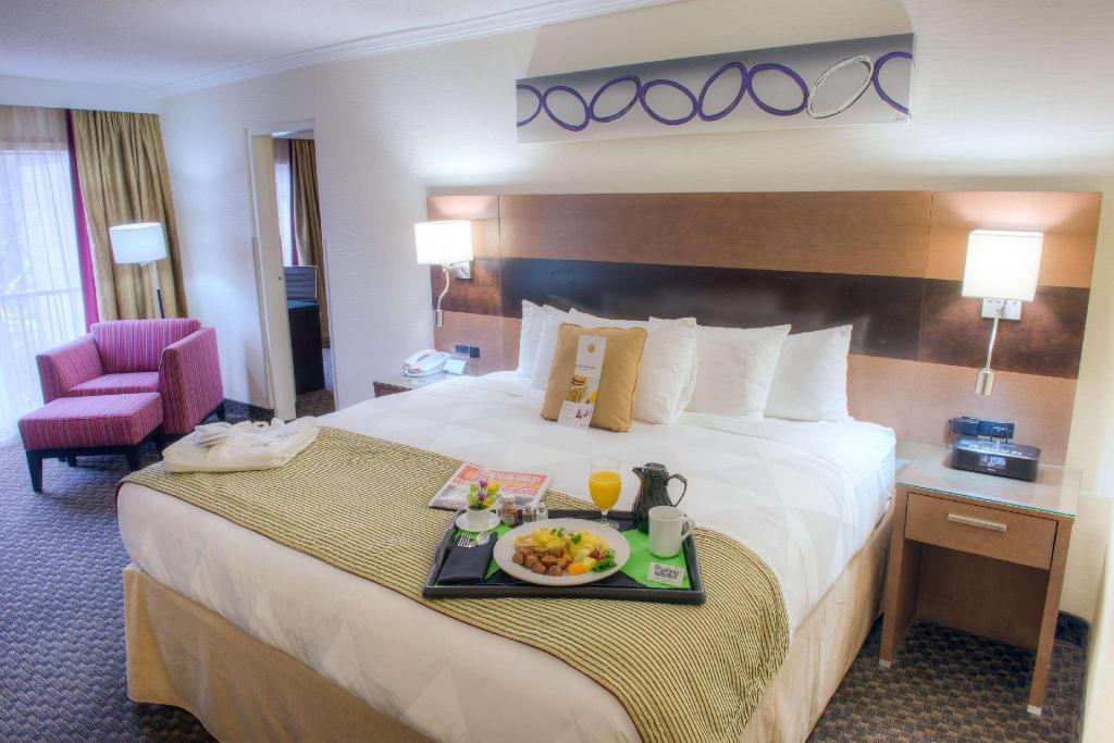 Upgrade, Suite, King Bed