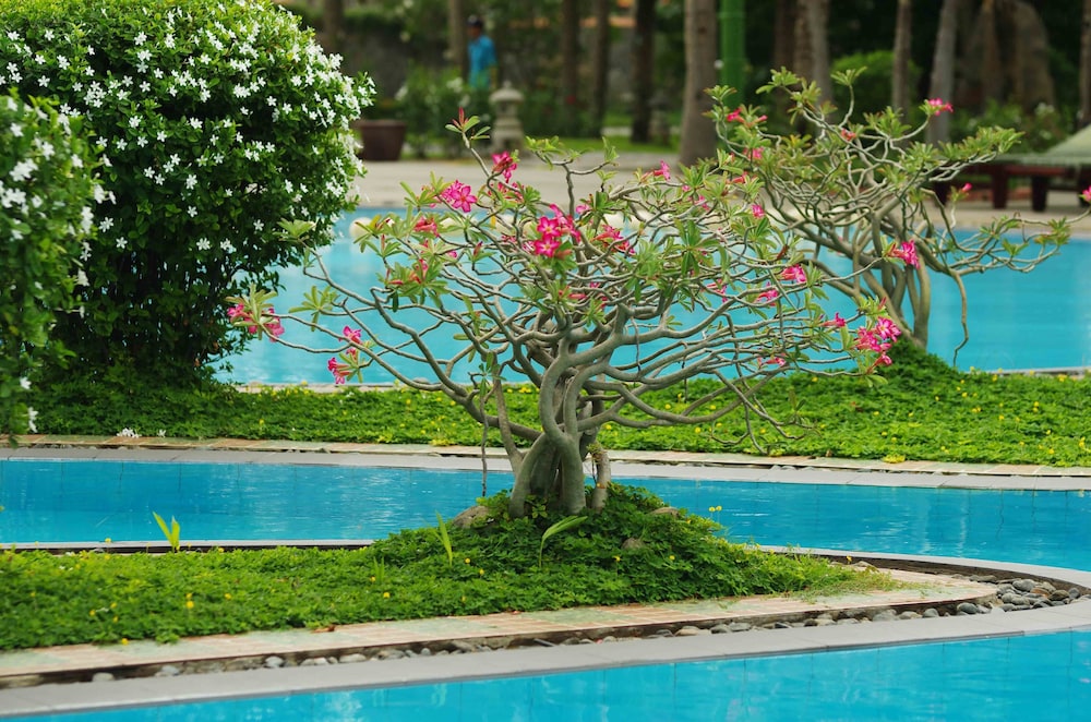 Muine Decentury Beach Resort Spa 53/65