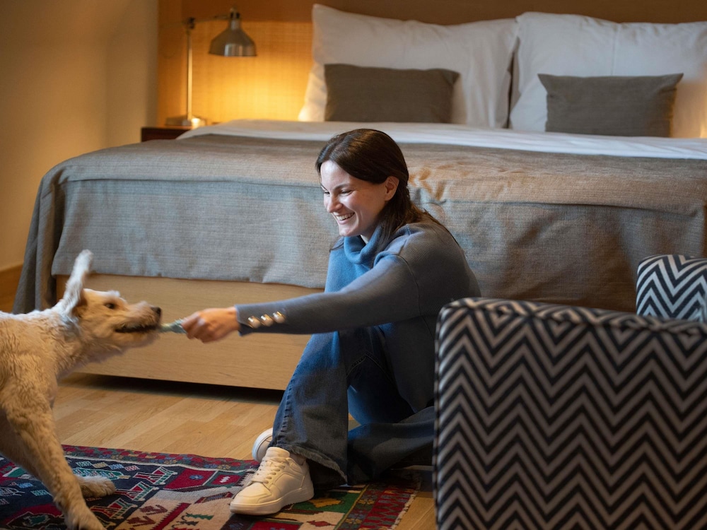 Mercure Belgrade Excelsior 10/50