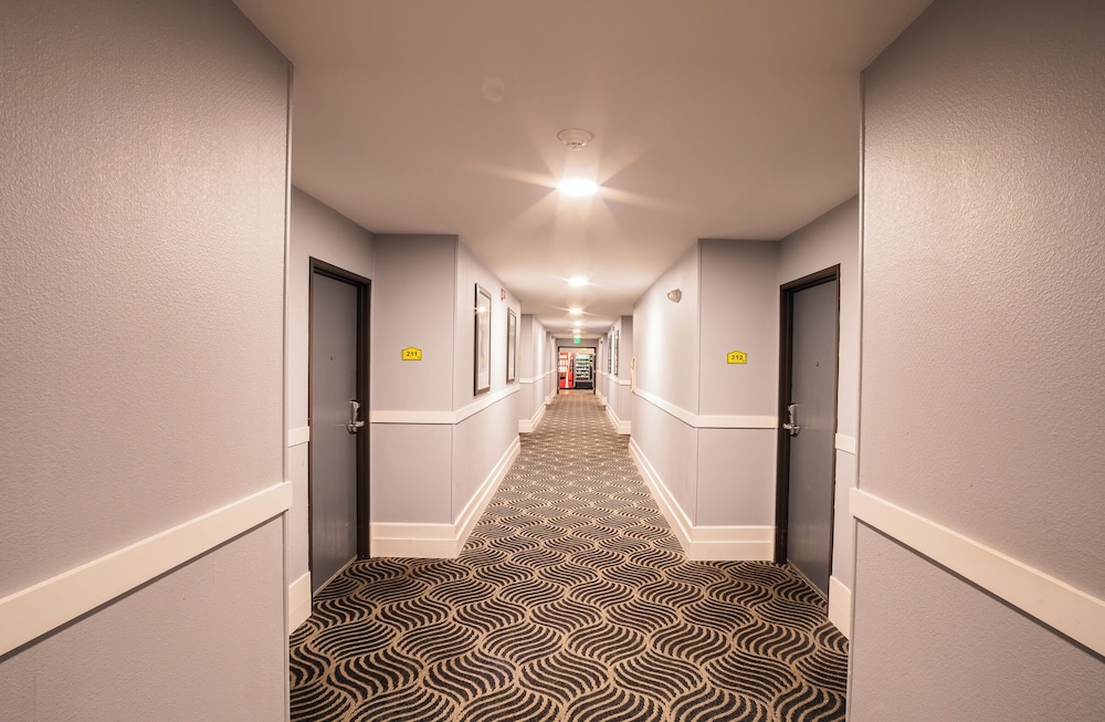 Hotel Mira Vista 15/53