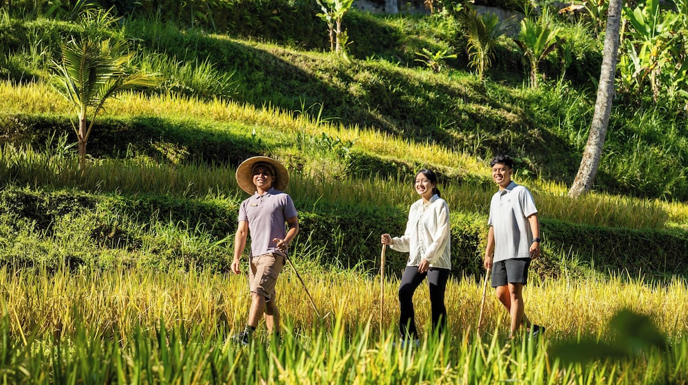 ULU Valley Retreat 45/50