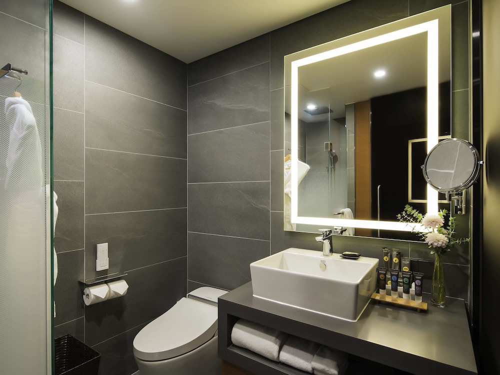 Novotel Ambassador Seoul Dongdaemun Hotels and Residences 20/75