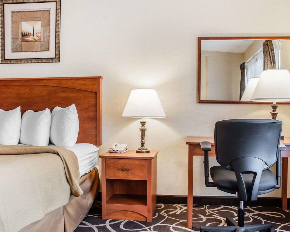 Quality Hotel & Suites At The Falls 23/51