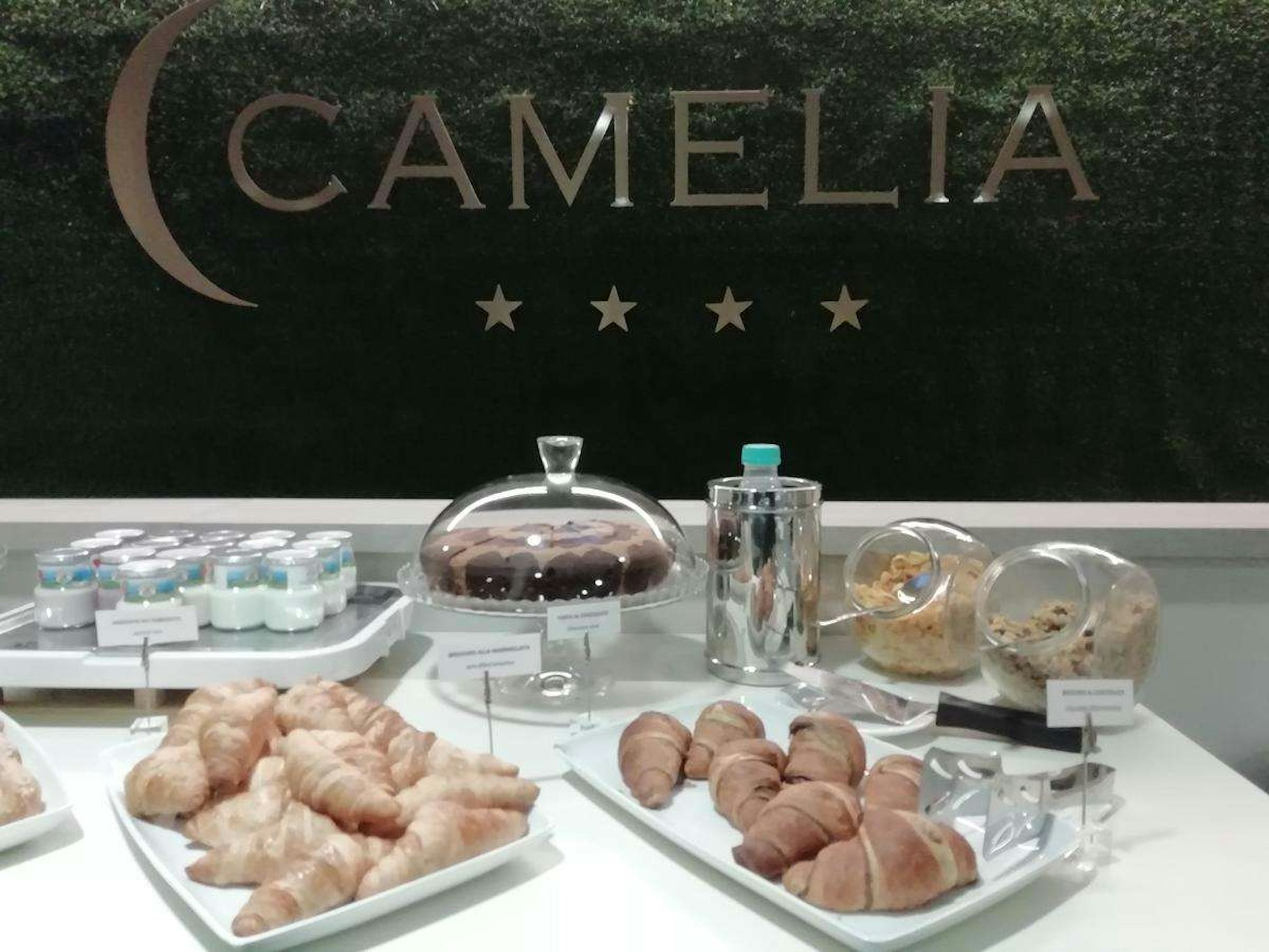 Hotel Camelia 12/18
