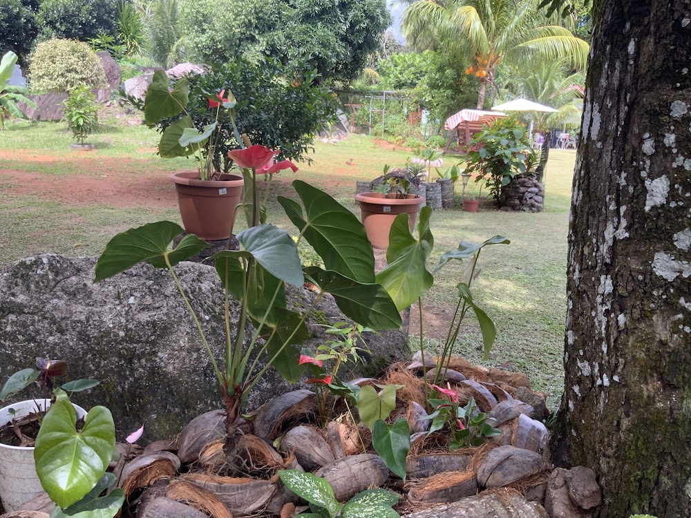 The Orchard Self-Catering Villa 39/50