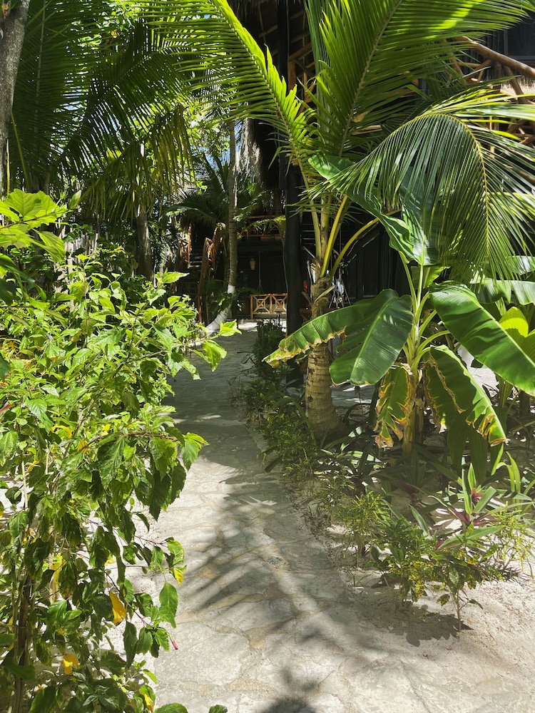 Sivana Tulum 38/50