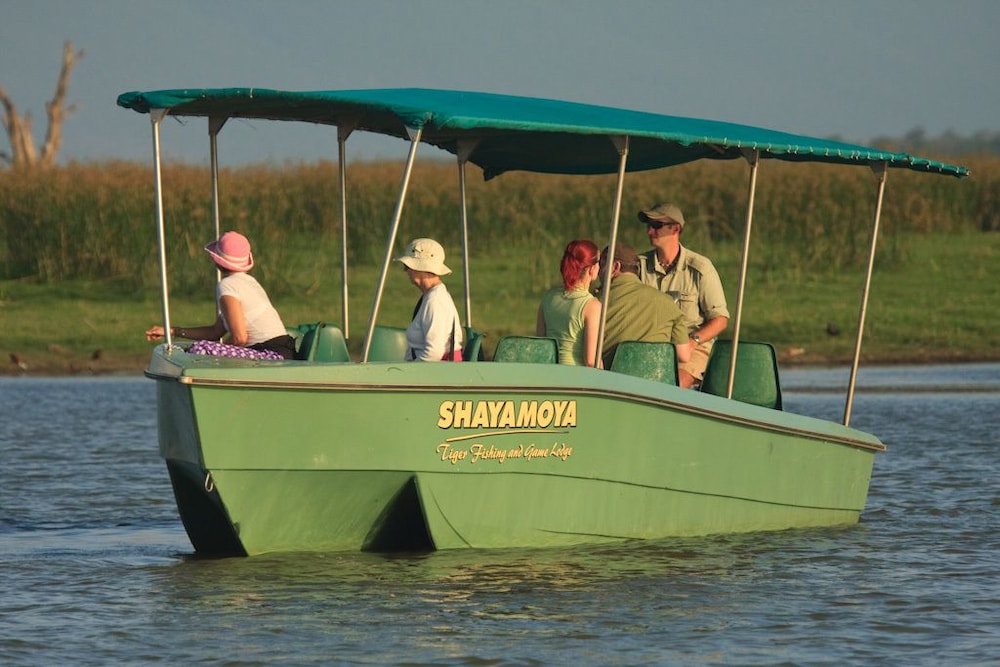 Shayamoya 8/70
