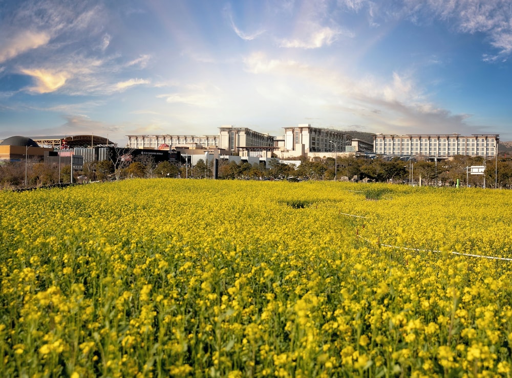 Shinhwa Jeju Shinhwa World Hotel And Resorts 71/73
