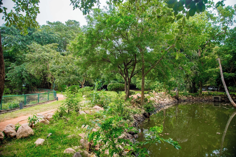 Miridiya Lake Resort 37/52