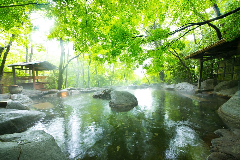 Nihon No Ashitaba 31/50