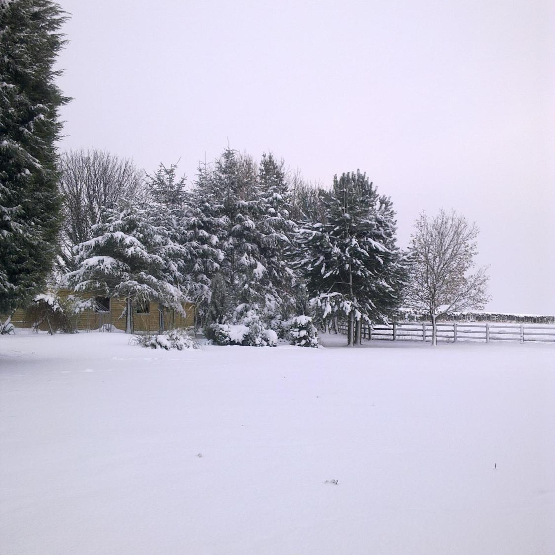 Cottage Lea's Country Hotel & Restaurant 29/32