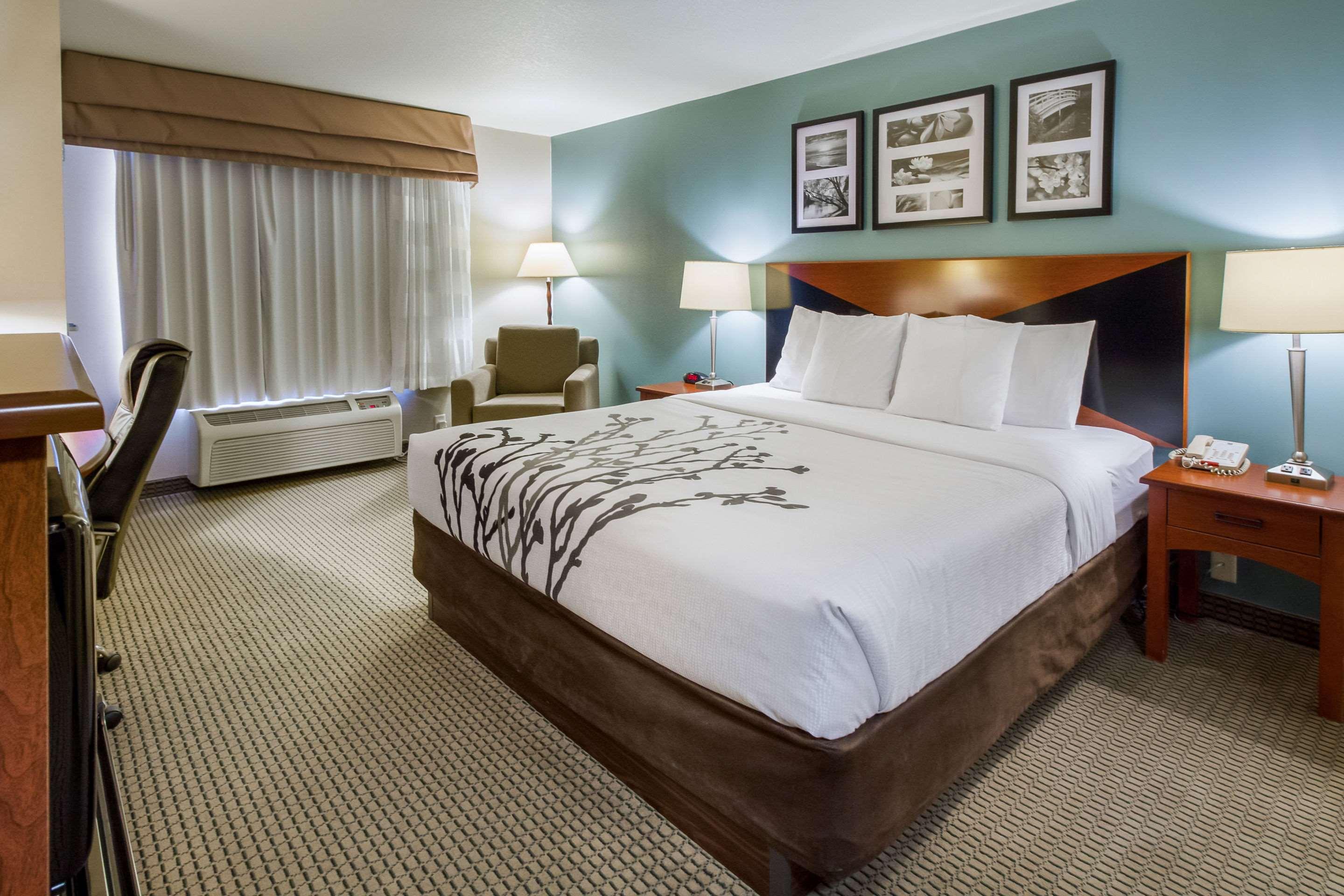 ROOM, KING BED