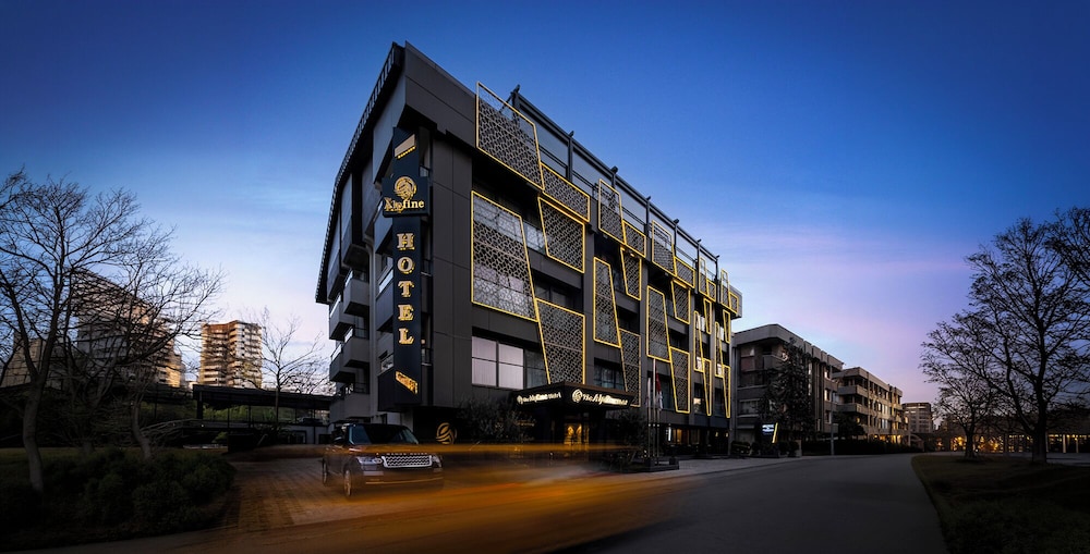 The Alpfine Hotel 3/50