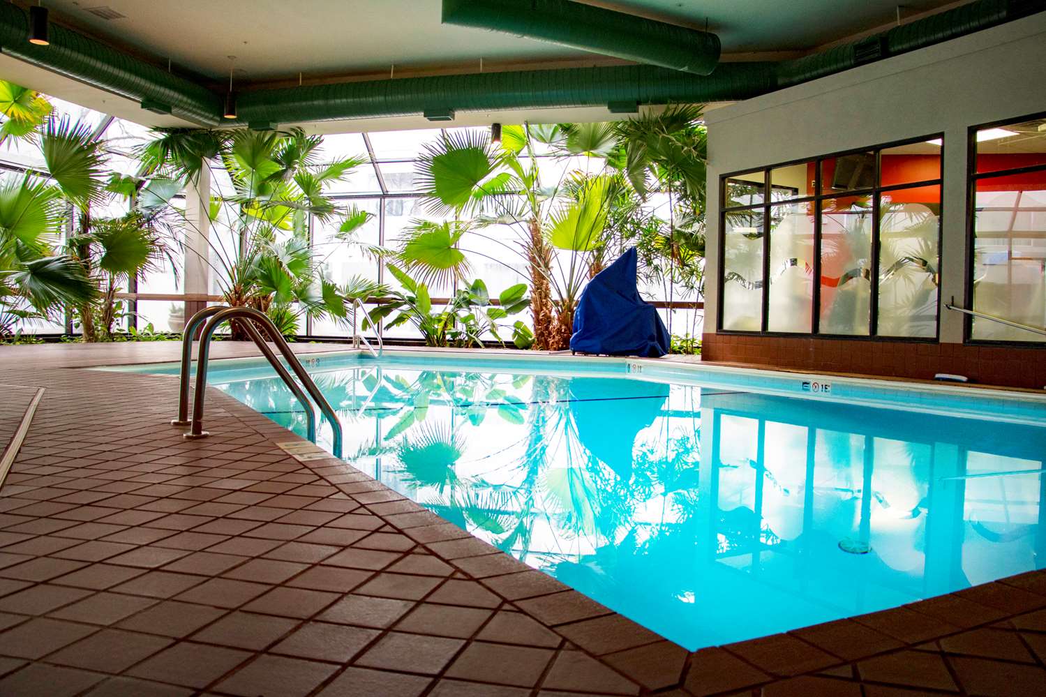 swimming pool spa