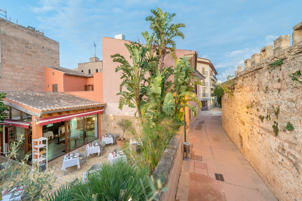 Alcudia Petit 40/50