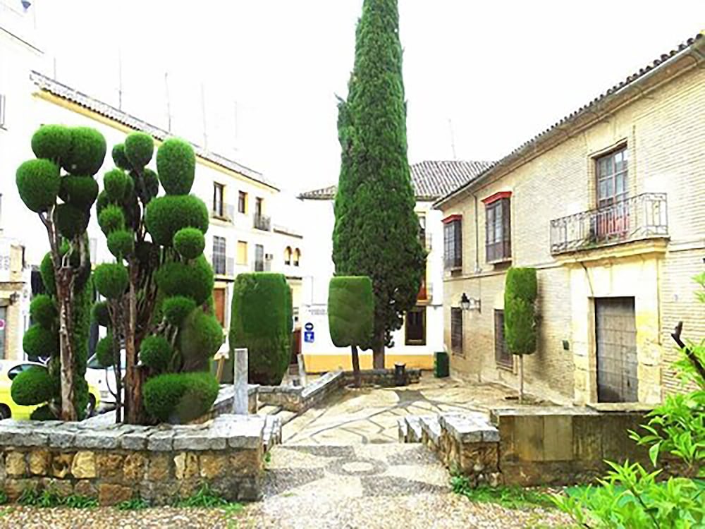 Plateros Hotel 44/50